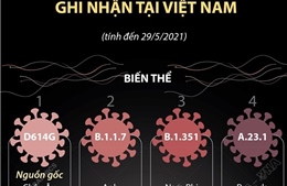 Việt Nam ghi nhận 8 biến chủng của virus SARS-CoV-2