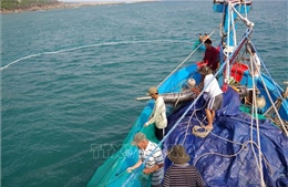 Bình Thuận đẩy mạnh tuyên truyền về bầu cử đến ngư dân