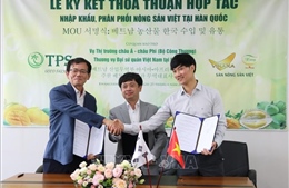 Đẩy mạnh nhập khẩu và phân phối nông sản Việt Nam tại Hàn Quốc
