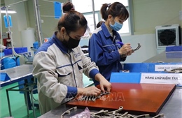 Tránh dịch lây lan, công nhân ở tạm trong nhà máy 