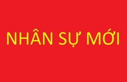 Phê chuẩn Chánh Văn phòng UBND tỉnh giữ chức Phó Chủ tịch tỉnh Quảng Nam