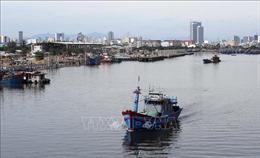 Đà Nẵng tiếp tục tạm dừng hoạt động của cảng cá Thọ Quang