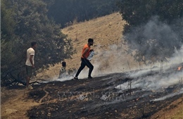 Algeria bắt giữ thêm 25 nghi phạm liên quan vụ sát hại người tham gia chữa cháy rừng