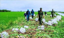 Từng bước ổn định tiêu thụ nông sản ở Đồng bằng sông Cửu Long 
