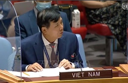 Việt Nam kêu gọi bảo đảm an ninh cho bầu cử ở Iraq
