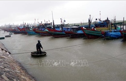 Vẫn còn tàu cá hoạt động trong khu vực ảnh hưởng của bão Côn Sơn