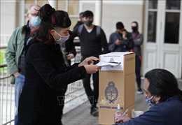 Tỷ lệ cử tri tham gia bầu cử sơ bộ Quốc hội Argentina ở mức cao