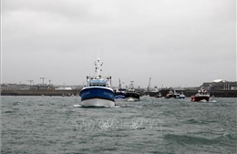 Pháp vẫn thiếu khoảng 150 giấy phép đánh bắt cá hậu Brexit