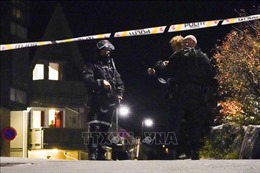 Na Uy bắt giữ nghi phạm sát hại nhiều người bằng cung tên ở thị trấn Kongsberg