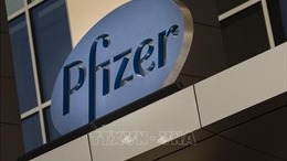 Các nước ASEAN tăng cường hợp tác với hãng Pfizer