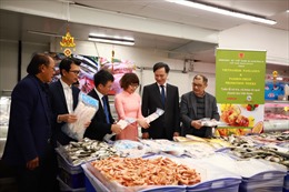 Thúc đẩy đầu tư, thương mại Việt Nam - Australia lên tầm cao mới
