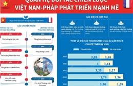 Quan hệ đối tác chiến lược Việt Nam-Pháp phát triển mạnh mẽ