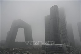 Ô nhiễm không khí nghiêm trọng tại thủ đô Bắc Kinh và New Delhi 