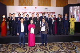 Doanh nghiệp Việt Nam và Ấn Độ hợp tác phát triển hạ tầng, công nghiệp 