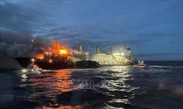 Cháy tàu chở gỗ ngoài khơi Thụy Điển