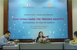 Doanh nghiệp Việt Nam tìm hiểu cơ hội phát triển sản phẩm tại Nam Phi