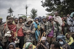 Các cơ quan cứu trợ của LHQ ngừng hoạt động tại Tigray (Ethiopia) 