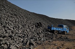 Giá than nhiệt ở Trung Quốc tăng do Indonesia cấm xuất khẩu than đá