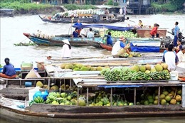 Chợ nổi Đồng bằng sông Cửu Long - Bài cuối: Tạo điểm nhấn cho sản phẩm du lịch