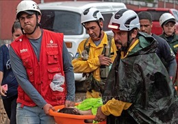 Trên 200 người mất tích trong vụ sạt lở đất tại Brazil