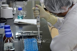 Việt Nam sẽ tiếp nhận công nghệ sản xuất vaccine mRNA theo sáng kiến của WHO