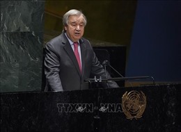 Đại hội đồng Liên hợp quốc kêu gọi tìm giải pháp cho vấn đề Ukraine 