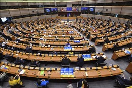Nghị viện châu Âu thông qua nghị quyết trừng phạt Nga