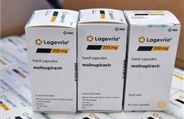 Hàn Quốc cho phép sử dụng thuốc Lagevrio dạng uống