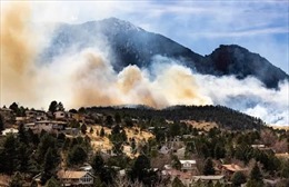 Cháy rừng tại bang Colorado (Mỹ), trên 1.600 người phải đi sơ tán