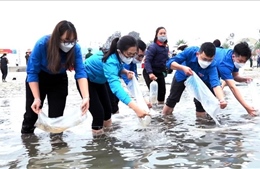 Thả 2,3 triệu con giống thủy sản xuống vịnh Bái Tử Long