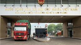 Cửa khẩu Lào Cai hoạt động trở lại sau hơn 1 ngày tạm dừng
