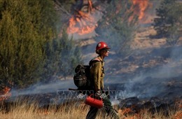 Cháy rừng tiếp tục lan rộng ở Tây Nam nước Mỹ