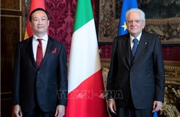 Italy coi trọng phát triển hơn nữa quan hệ đối tác chiến lược với Việt Nam