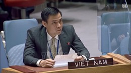 Việt Nam đồng tổ chức thảo luận về bảo vệ nguồn nước trong xung đột vũ trang