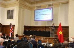 Diễn đàn doanh nghiệp Việt Nam-Anh thúc đẩy cơ hội mở rộng thị trường
