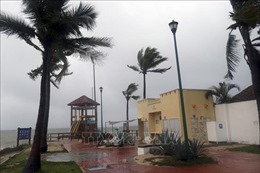 Bão Agatha suy yếu thành bão nhiệt đới sau khi tràn vào miền Nam Mexico