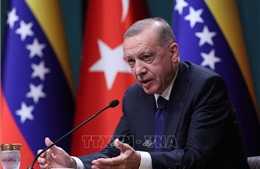 Tổng thống Thổ Nhĩ Kỳ tiếp tục bác tin tổ chức tổng tuyển cử sớm