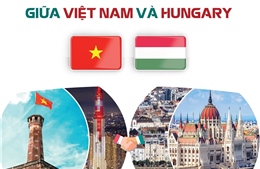 Quan hệ Đối tác toàn diện giữa Việt Nam và Hungary