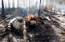 Máy bay rơi và bốc cháy ở Brazil