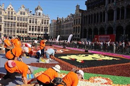 Thảm hoa Brussels chào đón du khách sau 2 năm vắng bóng