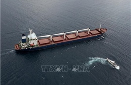 Tàu hàng xuất khẩu ngũ cốc đầu tiên của Ukraine hoãn cập cảng Liban
