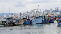 Ứng phó với bão Noru: Khánh Hòa tạm dừng các hoạt động trên biển