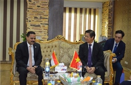 Việt Nam và Ai Cập nhất trí đẩy mạnh quan hệ hợp tác nhiều mặt