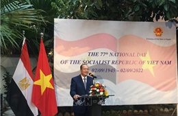 Quan hệ Việt Nam - Ai Cập ngày càng mở rộng trên các lĩnh vực