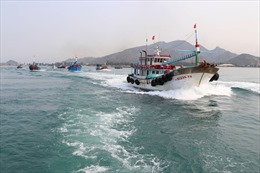 Tuân thủ quy định chống đánh bắt hải sản IUU, Ninh Thuận không có tàu cá vi phạm vùng biển nước ngoài