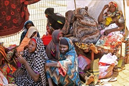 UNFPA kêu gọi quyên góp 1,2 tỷ USD hỗ trợ nạn nhân các cuộc khủng hoảng