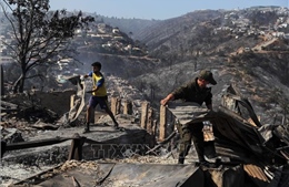 Cháy rừng thiêu huỷ nhiều ngôi nhà ở Chile