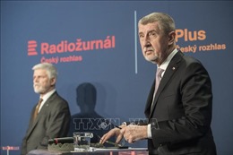 CH Séc tiến hành bầu cử tổng thống vòng 2