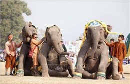 Ấn tượng lễ hội voi lớn nhất của đất nước &#39;Triệu Voi&#39;
