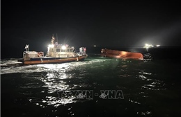 Bình Định: Hai thuyền viên mất tích khi câu mực trên biển